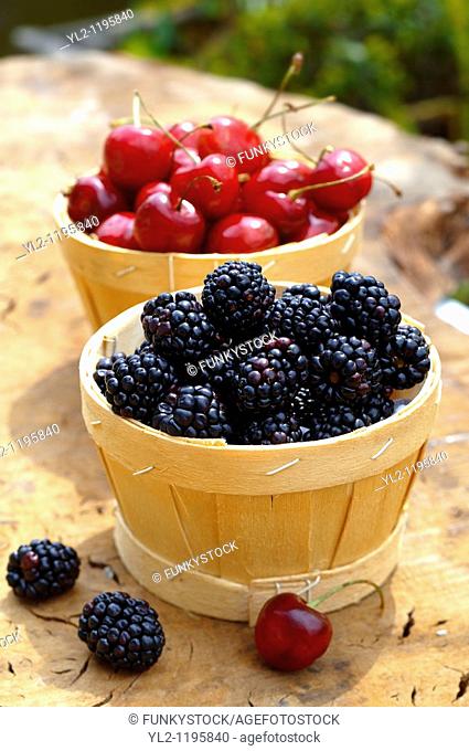 punet of fresh picked orgainic blackberries and cherries