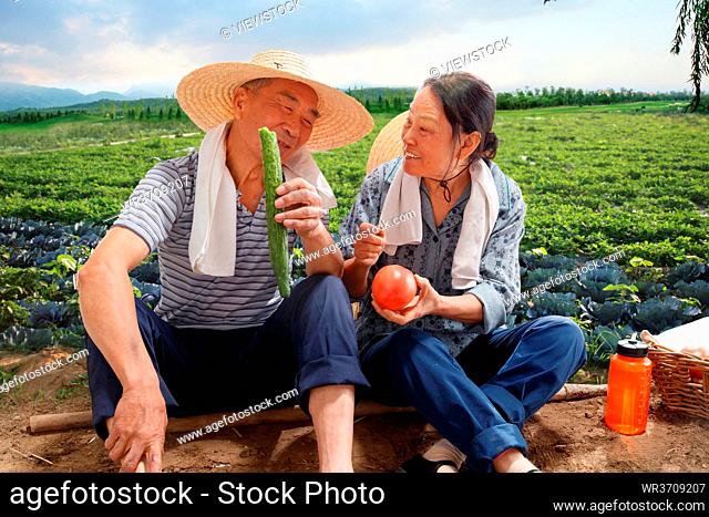 Farmers couple sat in the fields to eat