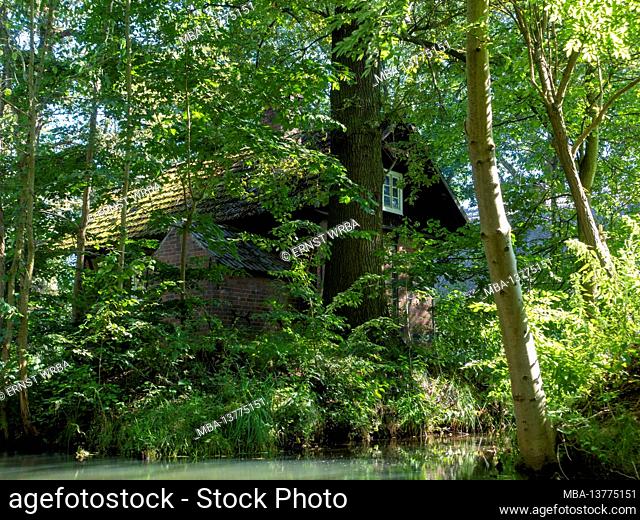 House on the canal, Inner Spreewald near Lübbenau, Biosphere Reserve, Brandenburg, Germany