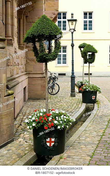 Historic district with Baechle, a small water-filled runnel, Freiburg im Breisgau, Baden-Wuerttemberg, Germany, Europe