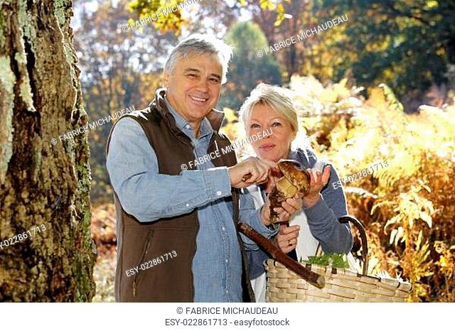 Senior couple in forest holding ceps mushrooms