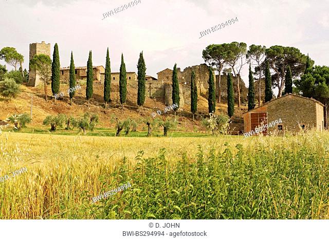 castle ruin of the Castello di Zocco, Italy, Umbria, Lago Di Trasimeno