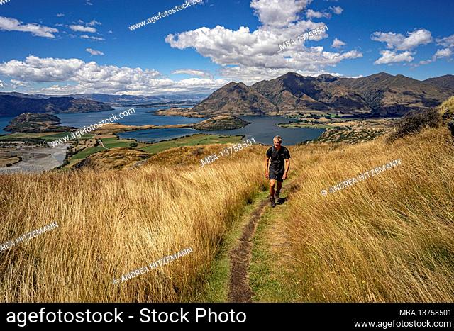Rocky Hill, hike on windswept paths to the scenic meadow hill, Wanaka, in the Queenstown-Lakes District of the Otago region on the South Island of New Zealand