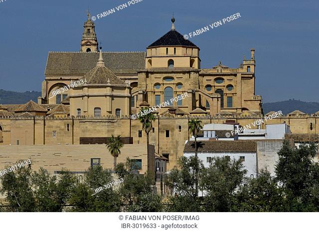 Mezquita, Mosque–Cathedral of Córdoba, Cathedral of the Conception of Our Lady