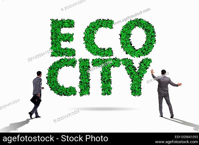 Eco city in the ecology concept