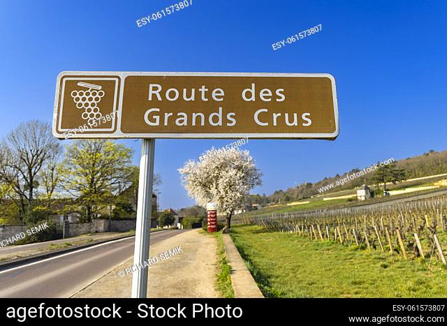 Wine road (Route des Grands Crus) near Beaune, Burgundy, France