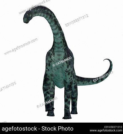 Cetiosaurus was a herbivorous sauropod dinosaur that lived in Morocco, Africa in the Jurassic Period