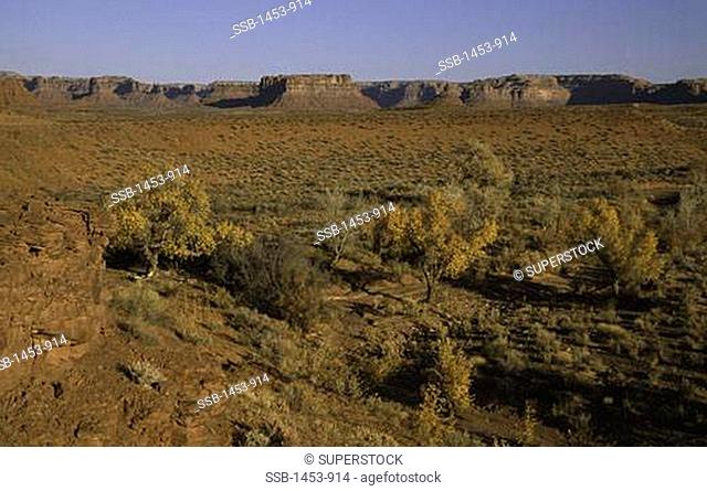 Bushes and rock formations on a landscape, Valley Of The Gods, San Juan County, Utah, USA