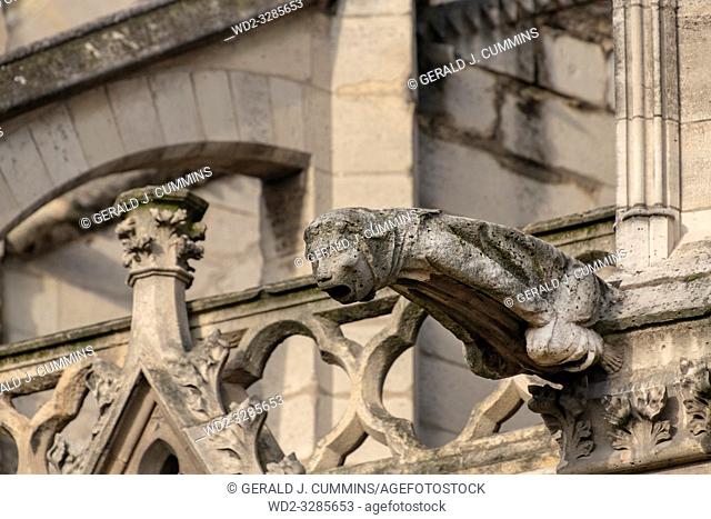 The famous gargoyles of Notre Dame de Paris, a gothic architectural feature used to divert rain water from the roof and convey it away from the buildingâ