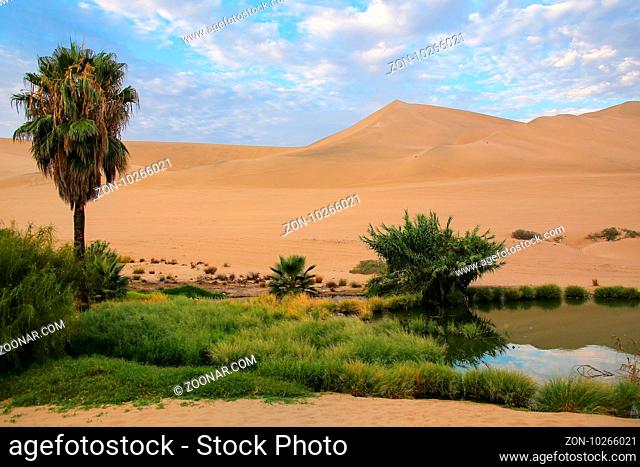 Oasis of Huacachina in the morning, Ica region, Peru