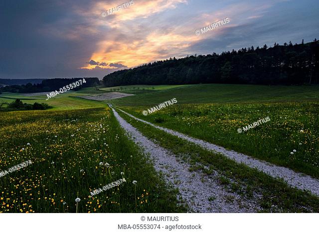 Germany, Bavaria, Augsburg, Western Woods Nature Park, country, rural, meadow, way, path, mood, storm, mystical, light, rays, sunset, flowers, spring, clouds