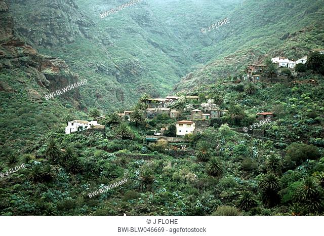 village in the Teno Mountains, Canary, Tenerife, Masca