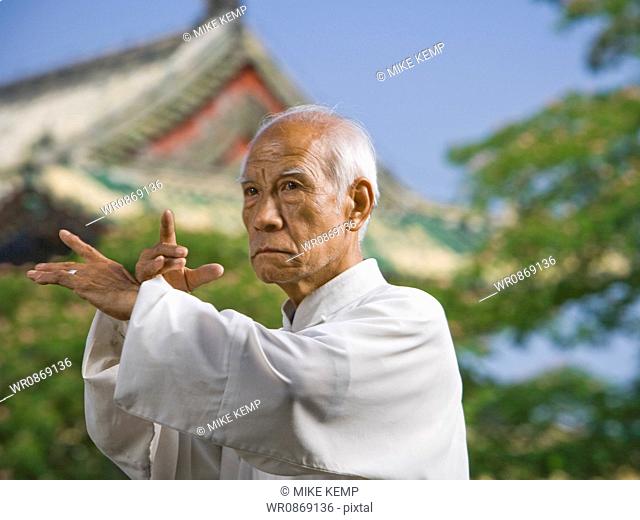 Man doing Kung Fu outdoors