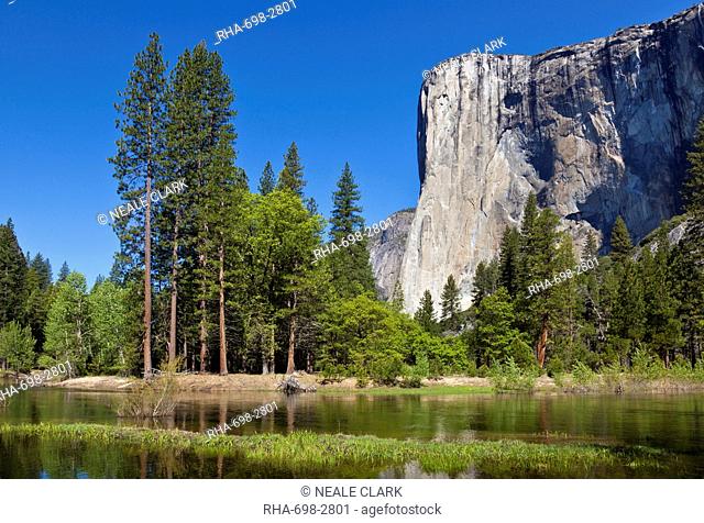 El Capitan, a 3000 feet granite monolith, with the Merced River flowing through the flooded meadows of Yosemite Valley, Yosemite National Park