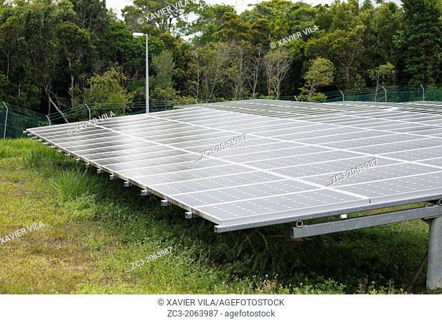Solar panels in the tropical jungle on the island of Pulau Perhentian Kecil, near Long Beach, China Sea, Terengganu, Malaysia