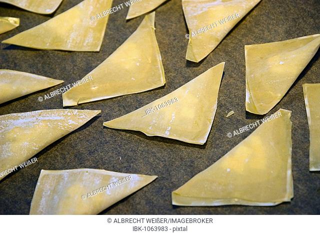 Cooking lesson, making crispy cheese samosas, samosas lying on a working surface in the kitchen, Germany, Europe