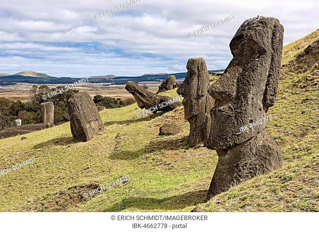 Moais in Rano Raraku, Rapa Nui National Park, Easter Island, Rapa Nui Island, Easter Island, Chile