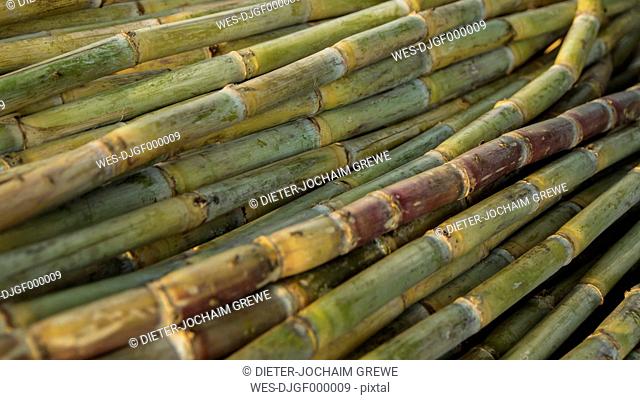 India, Old Delhi, Close up of sugarcane