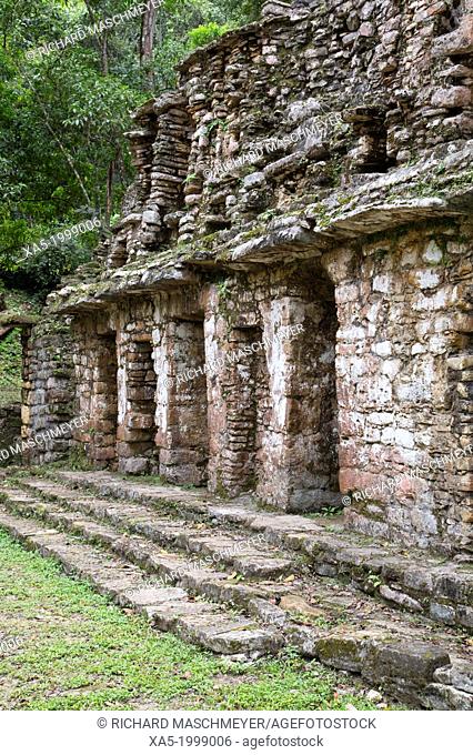 Mexico, Chiapas, Yaxchilan Archaeological Zone, Established around 350 AD and lasted into the early 9th Century, Structure 19