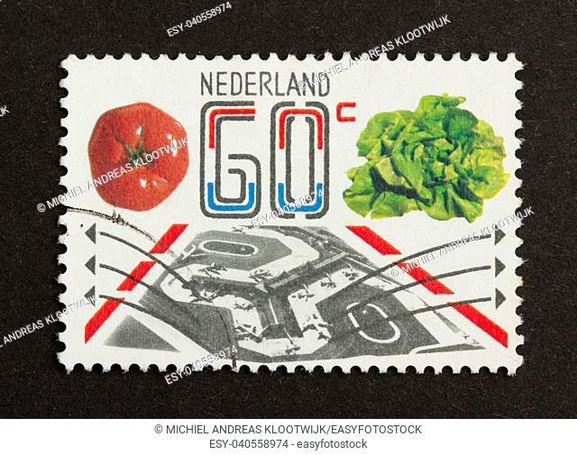 HOLLAND - CIRCA 1980: Stamp printed in the Netherlands shows a tomato and a salad, circa 1980