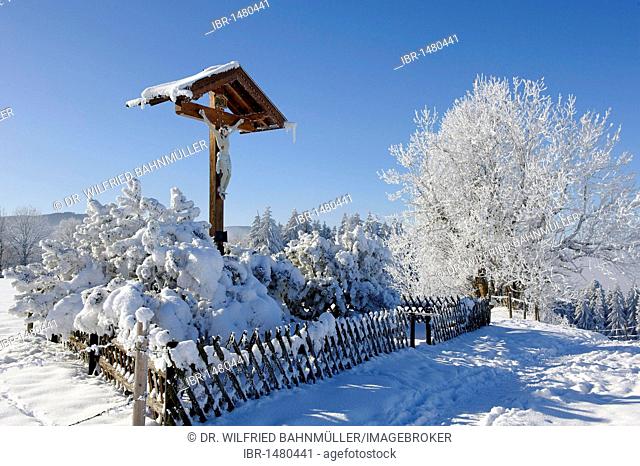 Crucifix, trees, frost, Stadlberg near Miesbach, Upper Bavaria, Bavaria, Germany, Europe