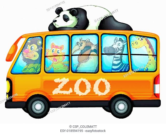 Lion safari bus Stock Photos and Images | agefotostock