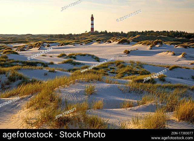 Duenen im Abendlicht mit dem Leuchtturm, Insel Amrum, Nordfriesland, Schleswig-Holstein, Deutschland, Europa
