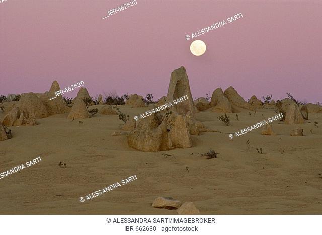 Full moon over the Pinnacle Desert, Namburg National Park, Western Australia, Australia, Oceania