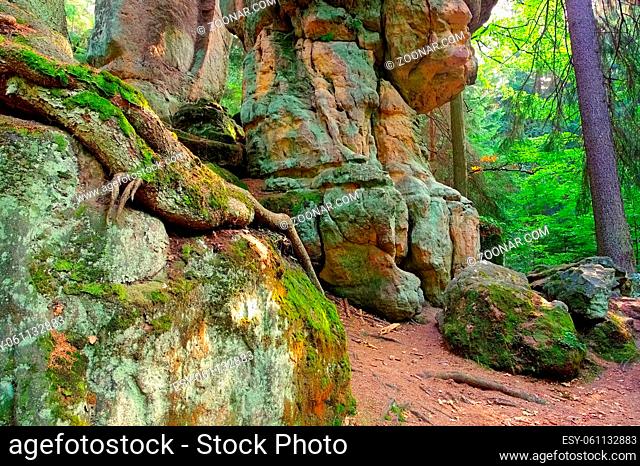 Felsen im Heuscheuergebirge in Schlesien, Polen - rocks in Stolowe Mountains in Silesia, Poland