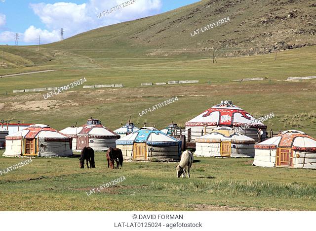 The landscape of the northern regions of Mongolia is protected by a series of National Park areas, and the population who live there are primarily herdsmen and...