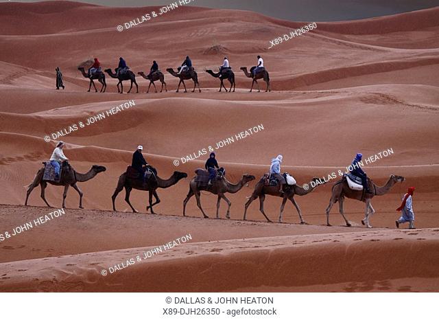 Africa, North Africa, Morocco, Sahara Desert, Merzouga, Erg Chebbi, Tourists Riding Camels in the Rain