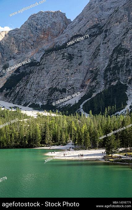 tourists on the loop around lake braies, fanes-sennes-braies nature park, dolomites unesco world heritage site, south tyrol, italy