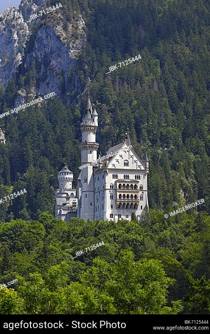 Neuschwanstein Castle, fairytale castle, Schwangau, Königswinkel, romantic road, Füssen, Ostallgäu, Allgäu, Swabia, Bavaria, Germany, Europe