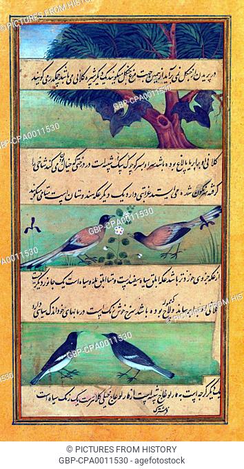India: An illustration from the Baburnama. Animals of Hindustan - wild birds