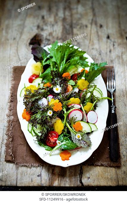 Wild herb salad with carrot flowers and radishes