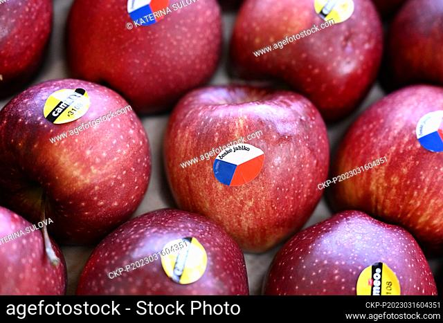 The loss of Czech fruit growers from last year's apple harvest will reach around Kc250m, which is due to the drop in farm prices of apples and the significantly...