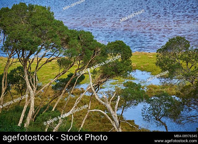Landscape, Tidal River, Wilsons Promontory National Park, Victoria, Australia, Oceania
