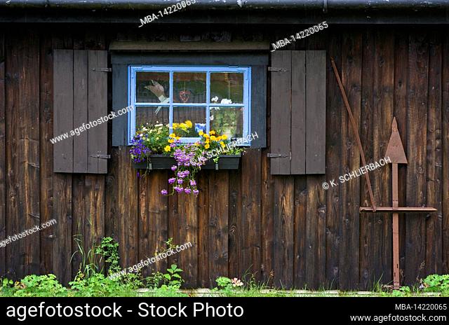 Europe, Sweden, Central Sweden, Västergötland Province, farmhouse with flower garden near Falköping, wooden facade with blue window