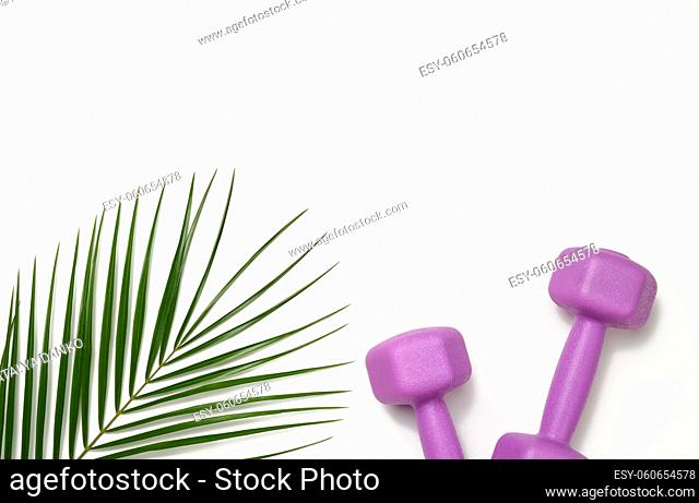 two purple plastic kilogram dumbbells on a white background, top view. Sports equipment, copy space