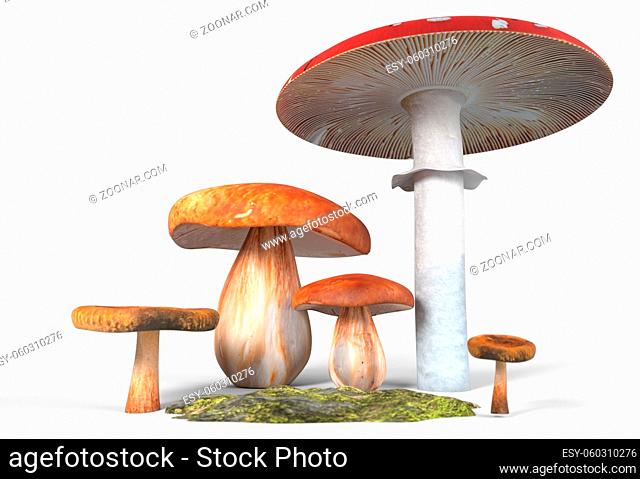 Group of mushrooms isolated on white background 3d render