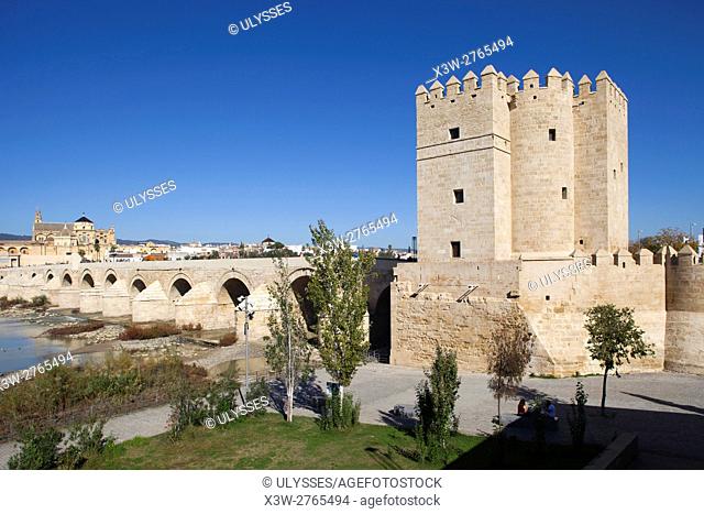 Torre de la Calahorra and Roman bridge, Cordoba, Andalucia, Spain, Europe
