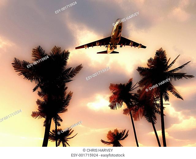 Plane In Tropical Sky