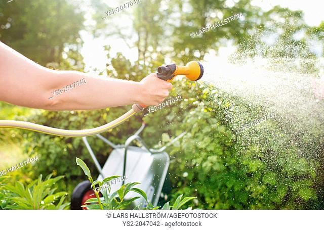 Woman watering plants with garden hose and hand held sprinkler