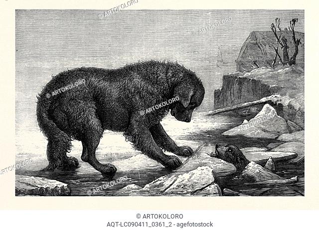 """EREBUS AND TERROR, "" BY J.W. BOTTOMLY