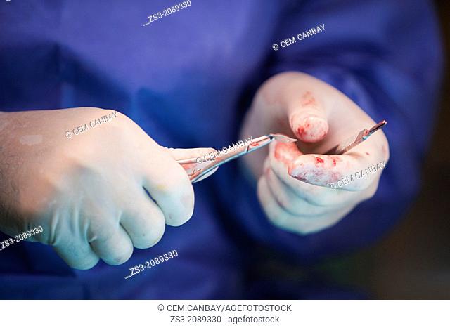 Close-up of a dental surgent, putting a sterile blade on the scalpel handel for the operation, Istanbul, Turkey, Europe