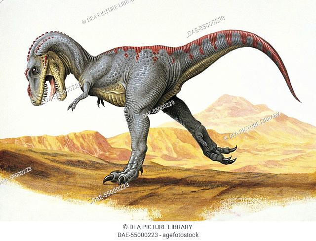 Palaeozoology - Cretaceous Period - Dinosaurs - Tarbosaurus (art work by Una Fricker)