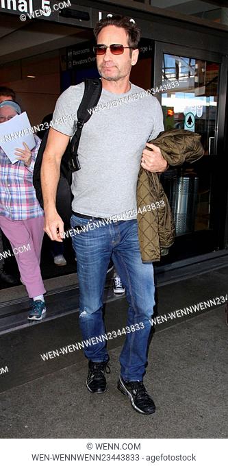 David Duchovny arrives on a flight to Los Angeles International Airport (LAX) Featuring: David Duchovny Where: Los Angeles, California