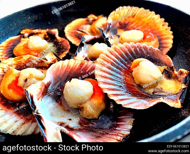 Scallops Grilled