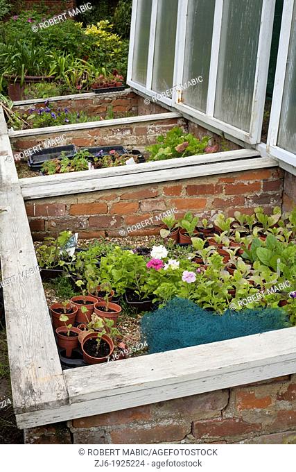 Brick cold frame and greenhouse with brick path, Bexon Manor Kent England