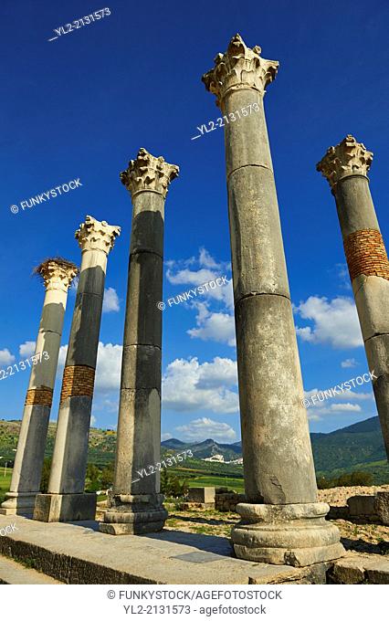 The Corintian columns of Capitoline Temple dedicated to the three chief divinities of the Roman state, Jupiter, Juno and Minerva